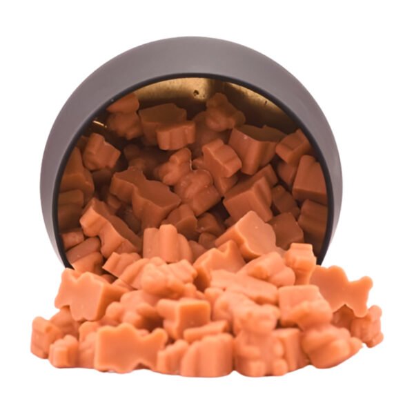 Lectors Cafe Wax Melts